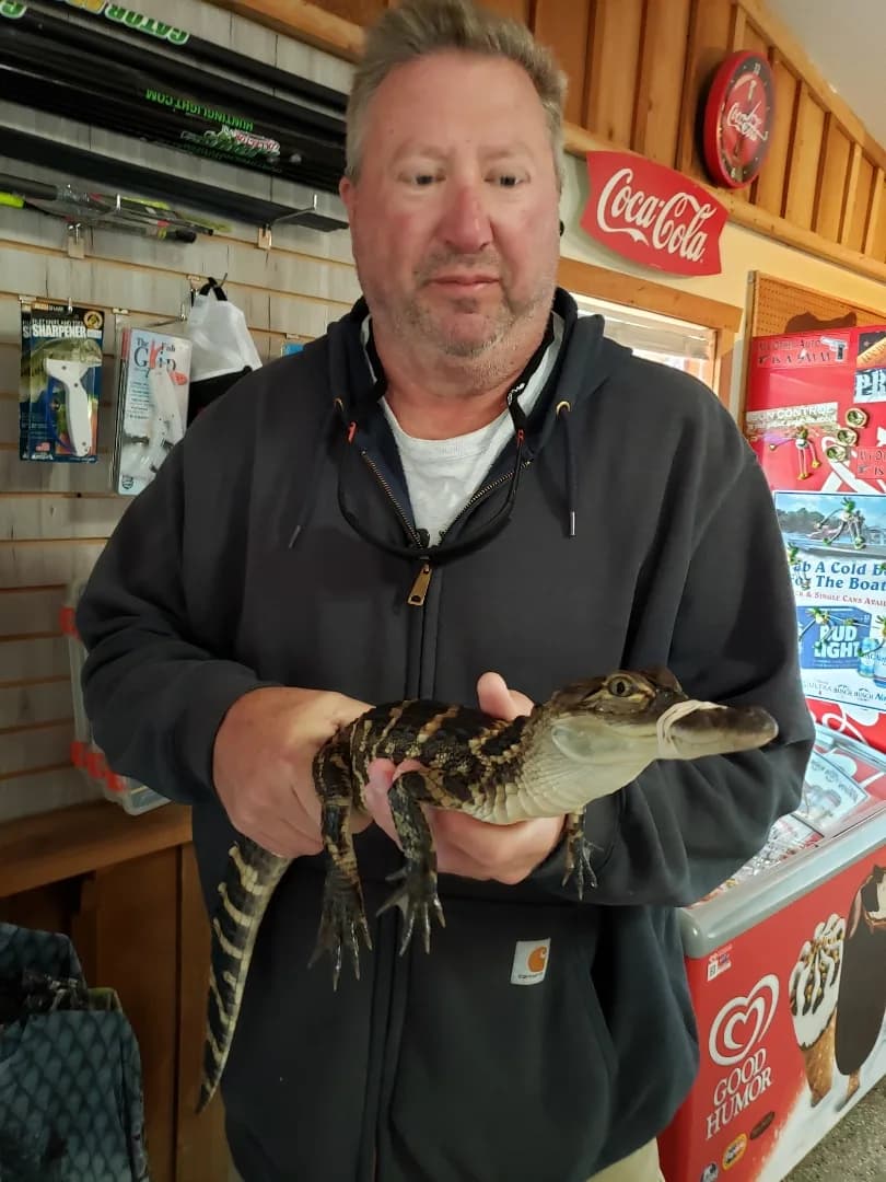 A baby alligator held up to the camera in a roadside shop