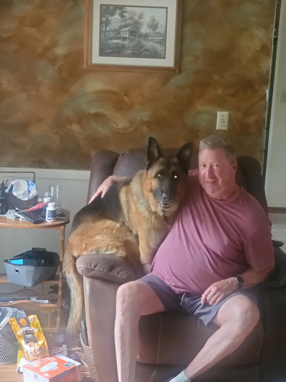 The German Shepherd draped over the back of the recliner